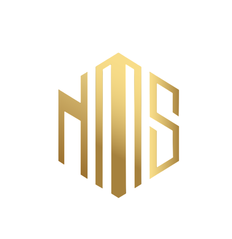 NMS Techsavants logo